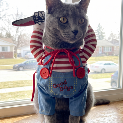 PawSlash™
